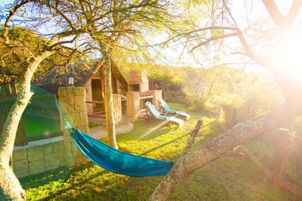 Nyaru Game Lodge Brandwag Oda fotoğraf